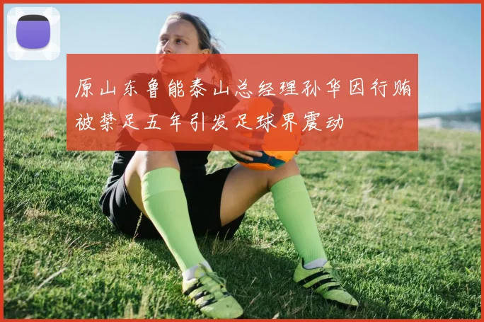 原山东鲁能泰山总经理孙华因行贿被禁足五年引发足球界震动