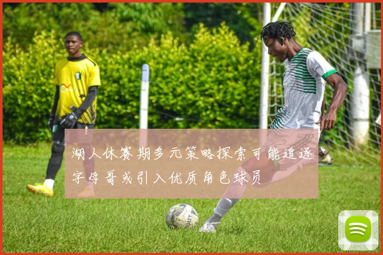 湖人休赛期多元策略探索可能追逐字母哥或引入优质角色球员