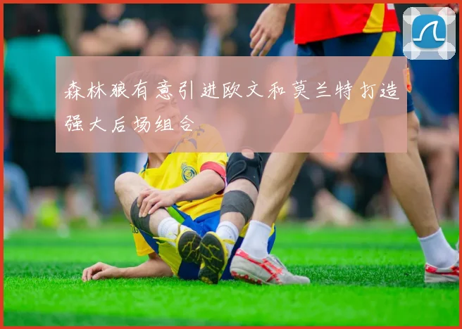 森林狼有意引进欧文和莫兰特打造强大后场组合